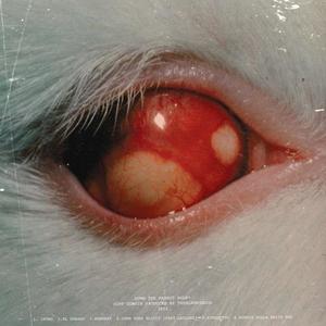 DOWN GOES BLICCY(feat. LAYLOWE) (Explicit)