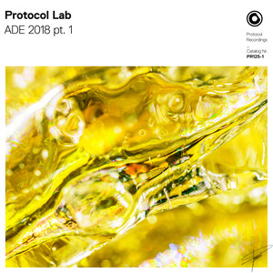 Protocol Lab - ADE 2018 pt.1