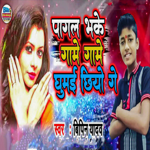 Pagal Bhake Gaame Gaame Ghumai Chhiyo Ge