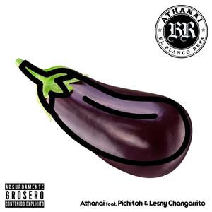 Mi Pingona (feat. Lesny Changarrito & Pichitoh) [Explicit]