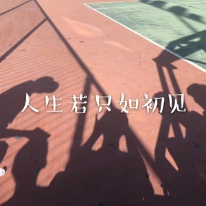 人生若只如初见