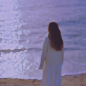 감나무 (Persimmon Tree)