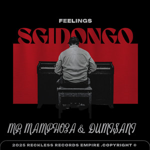 Sgidongo Feelings