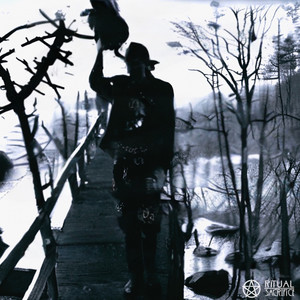 UNDER SPELLS/DRINK FROM WELLS