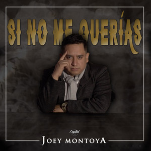 Si No Me Querías