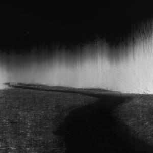 Op Zoek (feat. Honest) (Explicit)