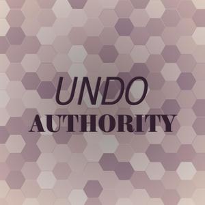 Undo Authority