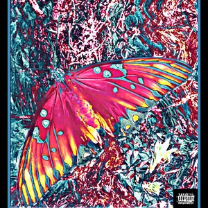 Butterfly Effect (feat. Toryon) [Explicit]