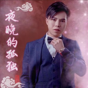 夜晚的孤独 (DJ粤语版)