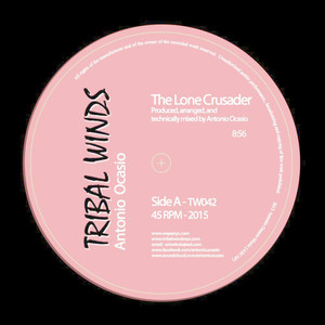 The Lone Crusader (ZoGri Remix)