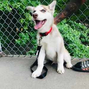 Path Of Faith (Explicit)