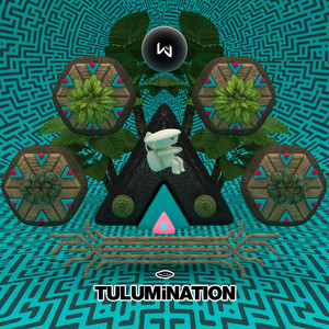 Tulumination II