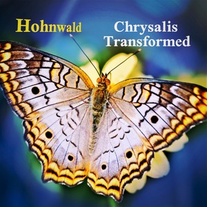 Chrysalis Transformed