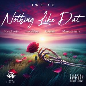 NOTHING LIKE THAT (feat. Barbie T, Lewicious, Hustler & Mike Insanity)