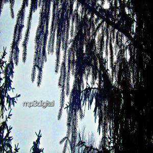 Oxygen (feat. ijitoni) (Explicit)