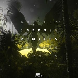 Seen (feat. Veronica Bravo) (Paul Flint Remix)