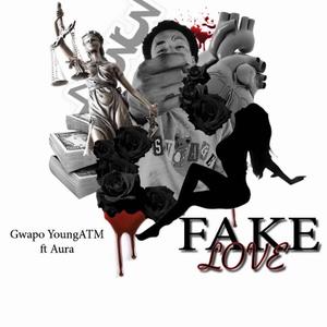 Fake Love (feat. Jay Aura) (Explicit)