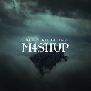 M4SHUP (feat. RSTUREMIX) (Remix)