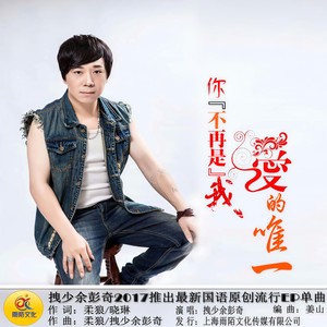 你不再是我爱的唯一