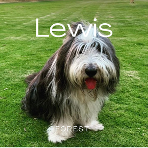 Lewis