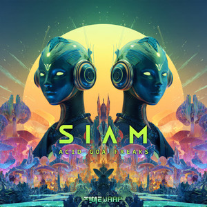 Beyond The Astral Worlds (Cactus Arising Remix)