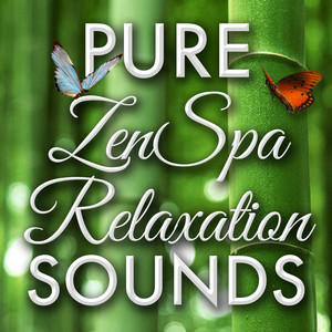 Pure Zen Spa Relaxation Sounds - Healthy Living Self-Improvement Spirituality Overcoming Empowerment & Chill