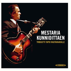 Kulkuri ja joutsen - Lite grann från ovan