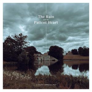 The Rain and The Patient Heart