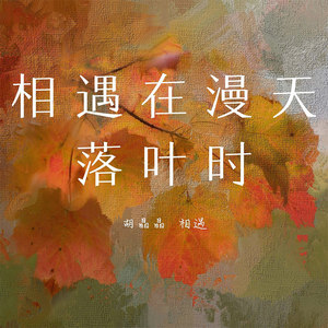 相遇在漫天落叶时