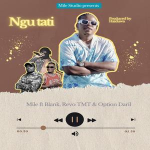 Ngu Tati (feat. Blank, Revo TMT & Option Daril)