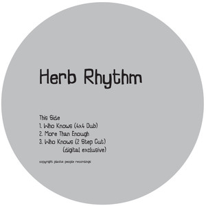 Who Knows (Original Mix)