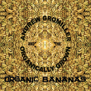 Organic Bananas