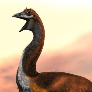 da biggest bird (feat. mintedzerosix) (Explicit)