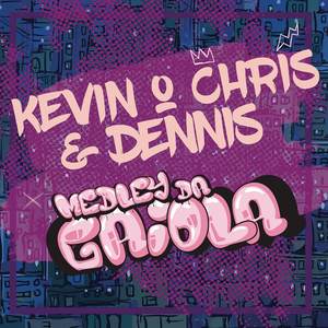 Medley da Gaiola (DENNIS Remix)