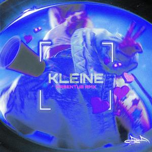 KLEINE (HABENTUB REMIX) [Explicit]