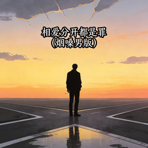 相爱分开都是罪 (烟嗓男版)封面