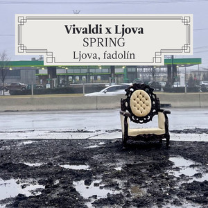 Spring 1 rejammed - birds on patrol