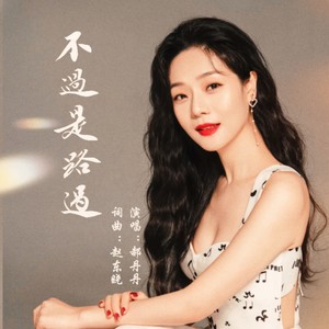 不过是路过