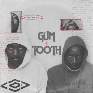 Gum & Tooth (Explicit)