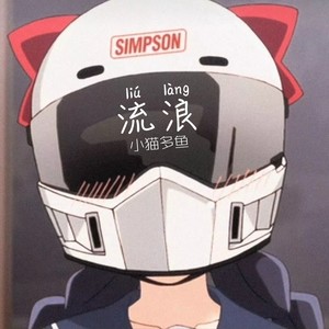 Bandida (DJ小猫多鱼版)封面