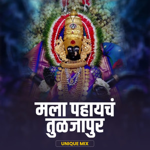 Mala Pahaych Tuljapur (DJ Remix)