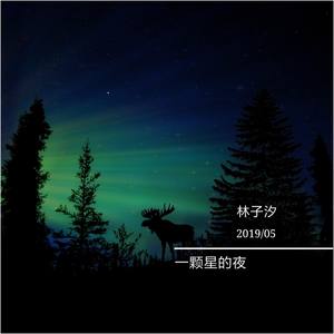 一颗星的夜