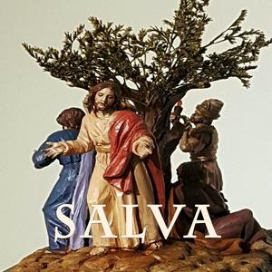 Salva