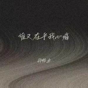 谁又在乎我心痛