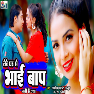 Tere Ghar Me Bhai Bap Nhi Hai Kya