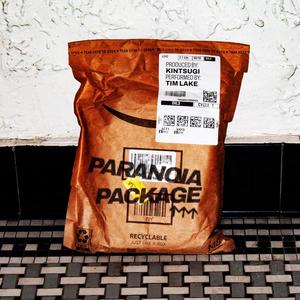 Paranoia Package (feat. Tim Lake & 9souls)