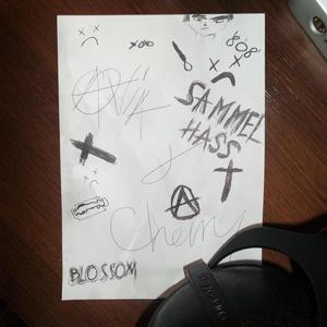 Sammel Hass (Explicit)