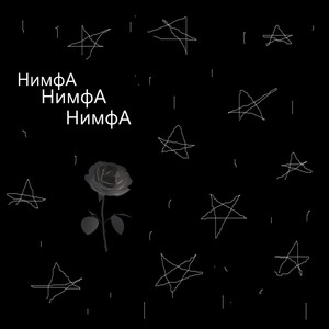 Простит утка