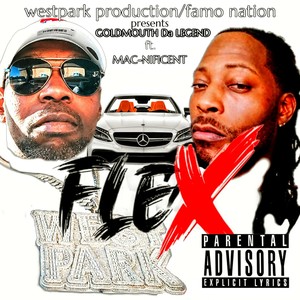 FLEX (Explicit)