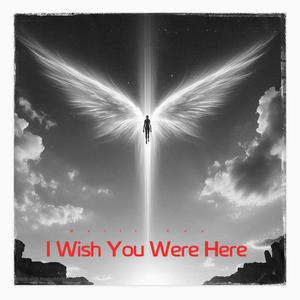 I Wish You Were Here